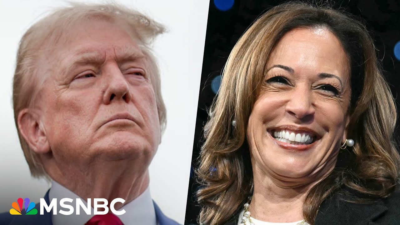 'A big problem for Republicans': High favorability moves Harris-Wal...